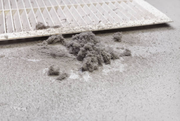 Best Duct Cleaning for Homes  in Princeton Meadows, NJ