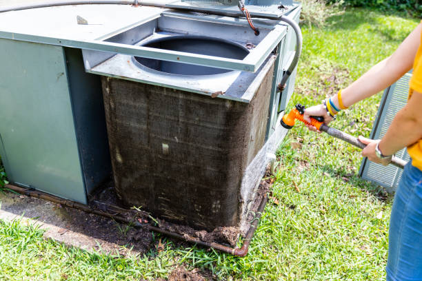 Best Air Duct Mold Removal  in Princeton Meadows, NJ